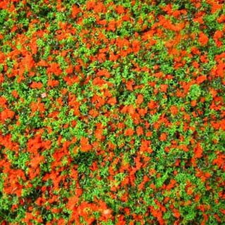 Dollhouse Miniature Red Blossom Garden Growies by Model Builders Supply